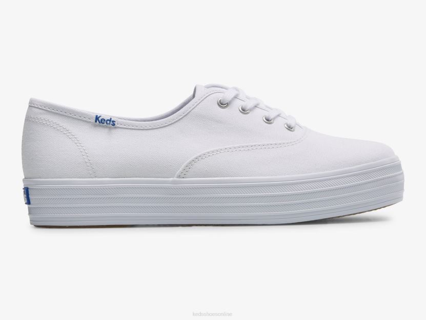 Women Keds The Platform Canvas Sneaker White RXFBP487
