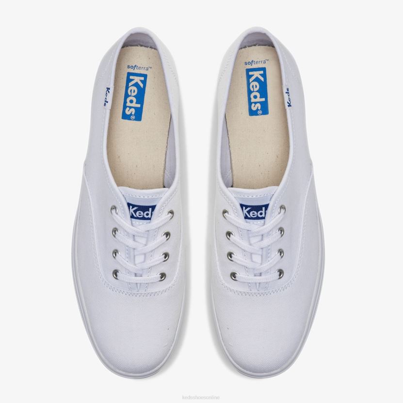 Women Keds The Platform Leather Sneaker White RXFBP4101